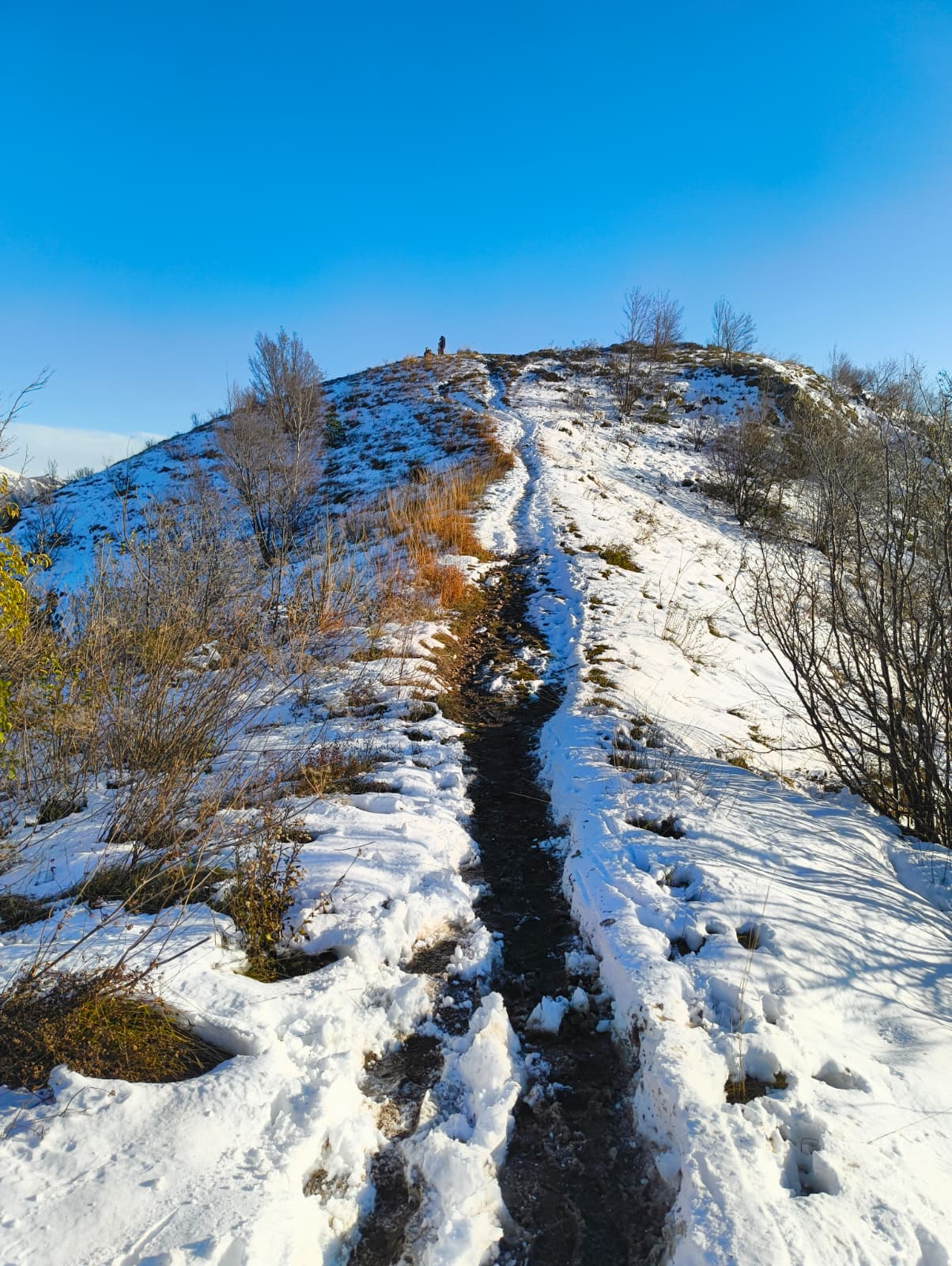 Foto n° 5 del trekking Monte Barro Innevato